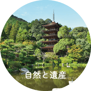 イメージ 03