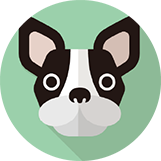 犬